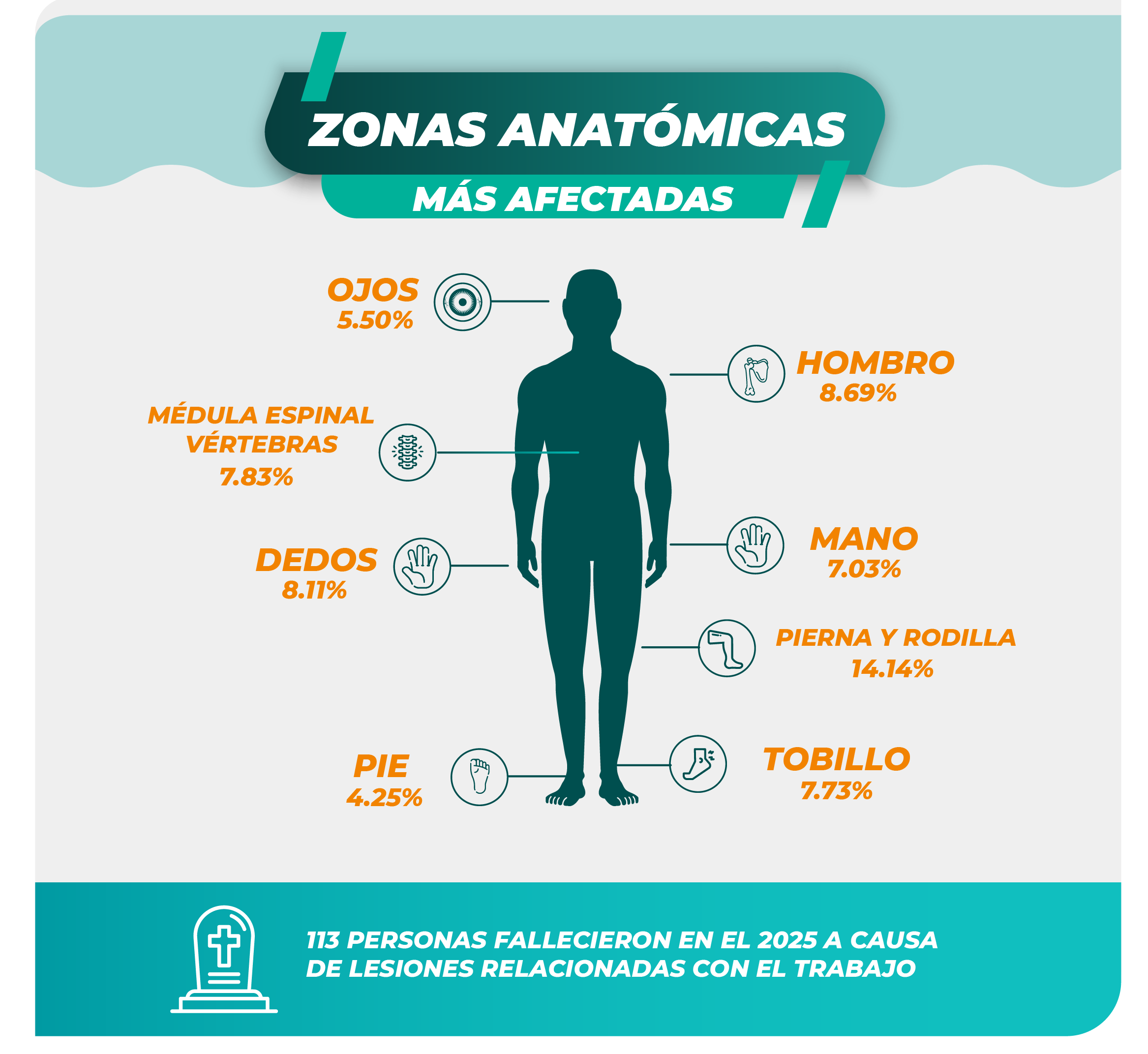 Zonas anatómicas más afectadas, de accidentabilidad laboral del 2025