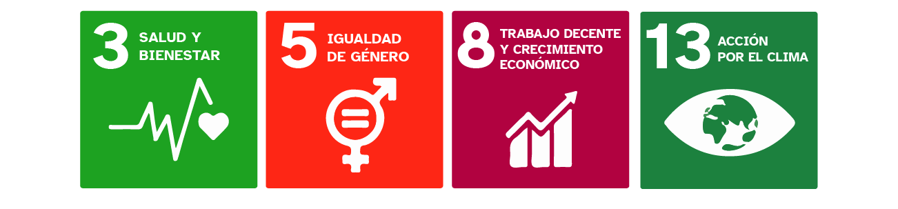 Objetivos de sostenibilidad: Salud y bienestar, igualdad de género, trabajo decente y crecimiento económico y acción por el clima